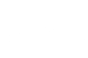 HindIX